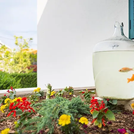 Logan Вилла Каштела